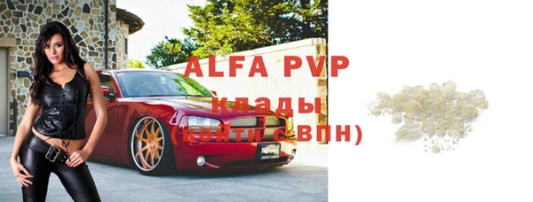 амф Алексин