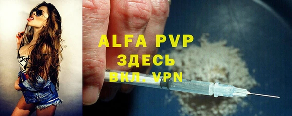индика Абаза