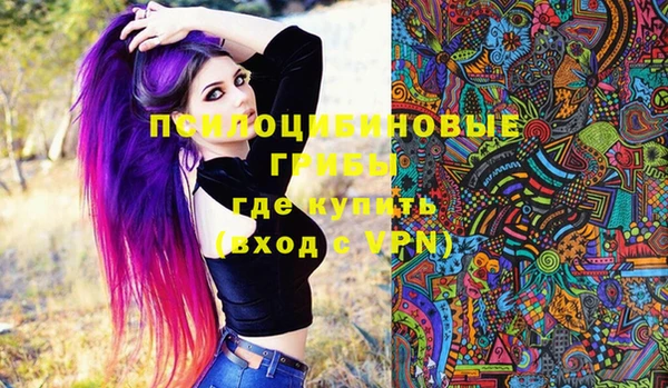 ПСИЛОЦИБИНОВЫЕ ГРИБЫ Алексеевка