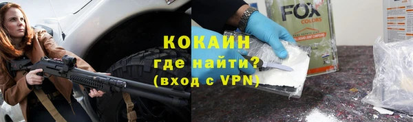 индика Абаза