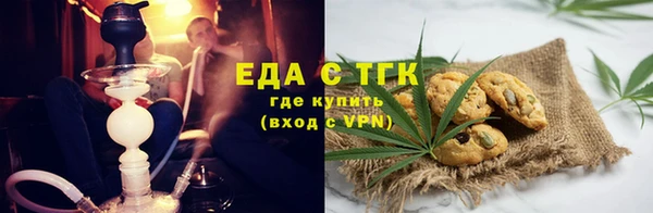 индика Абаза