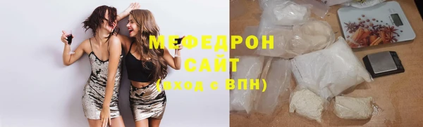 индика Абаза