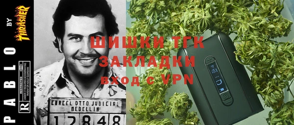 ПСИЛОЦИБИНОВЫЕ ГРИБЫ Алексеевка