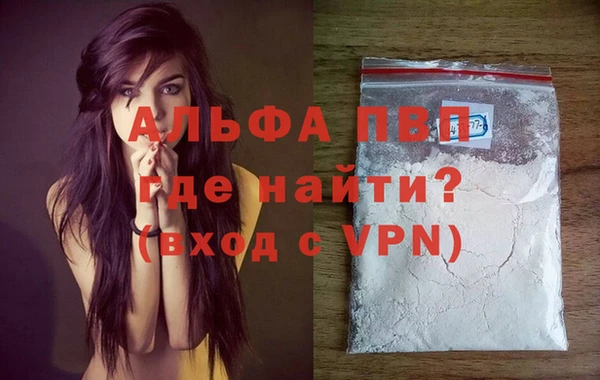 крисы Алзамай