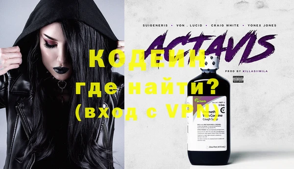 индика Абаза
