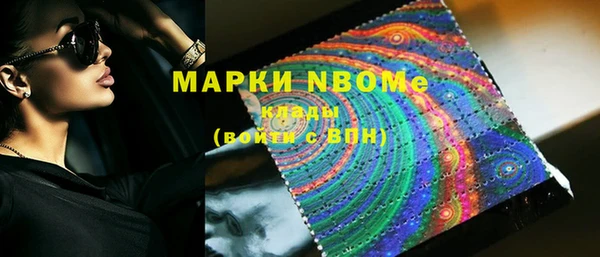 индика Абаза